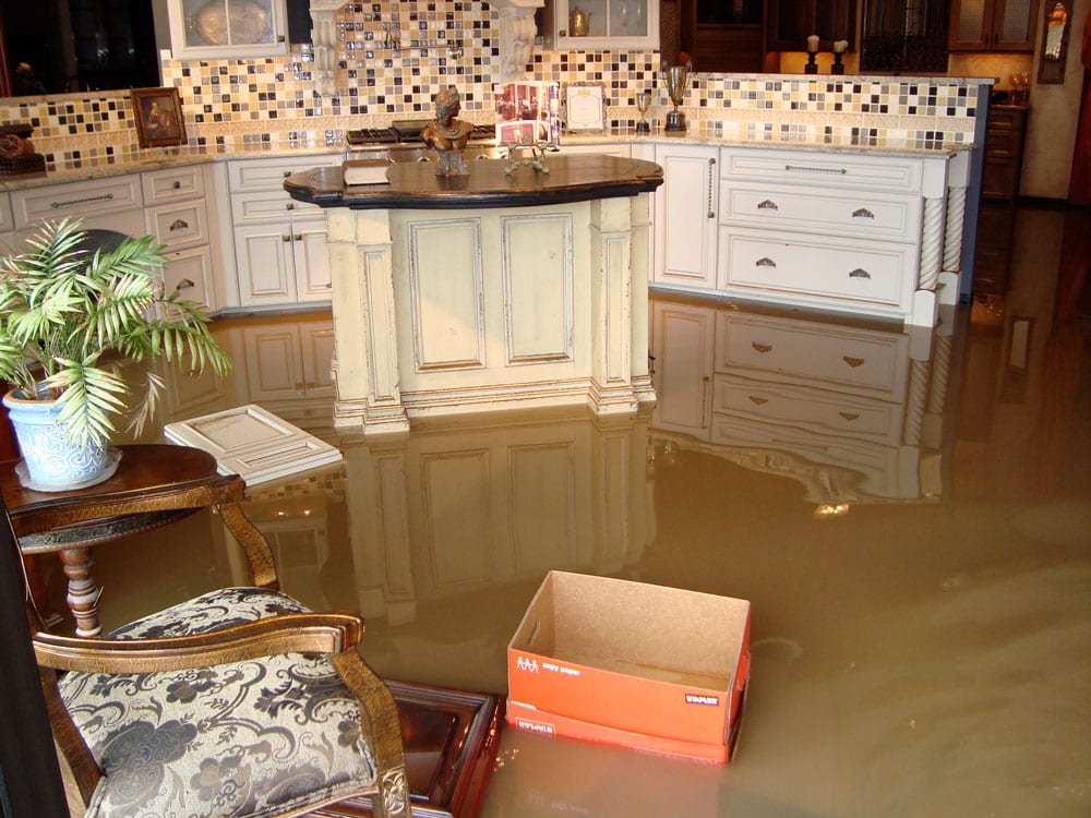 flood water in Karr Bick Showroom