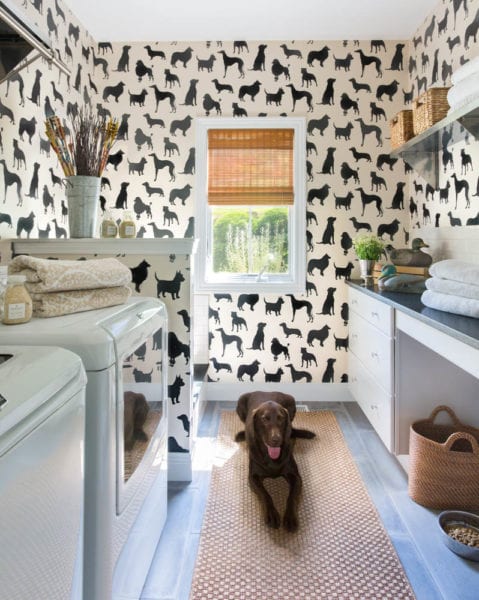 A Room For Puppies and Laundry