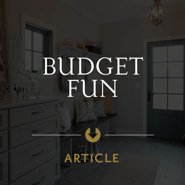 A graphic with white text that reads "Budget Fun" with an arrow pointing down to the text "Article"
