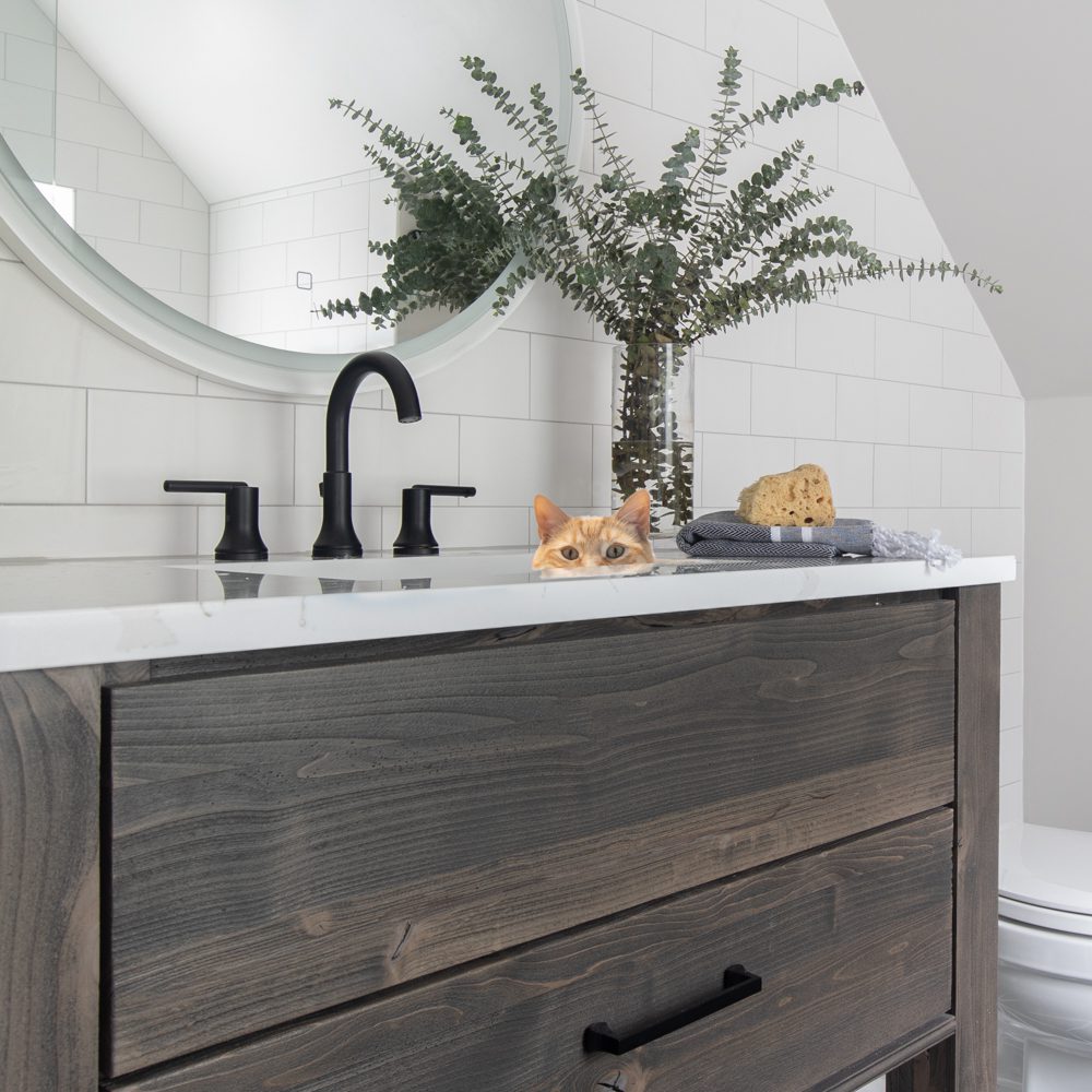 rustic style vanity with a cat head popping out of the sink