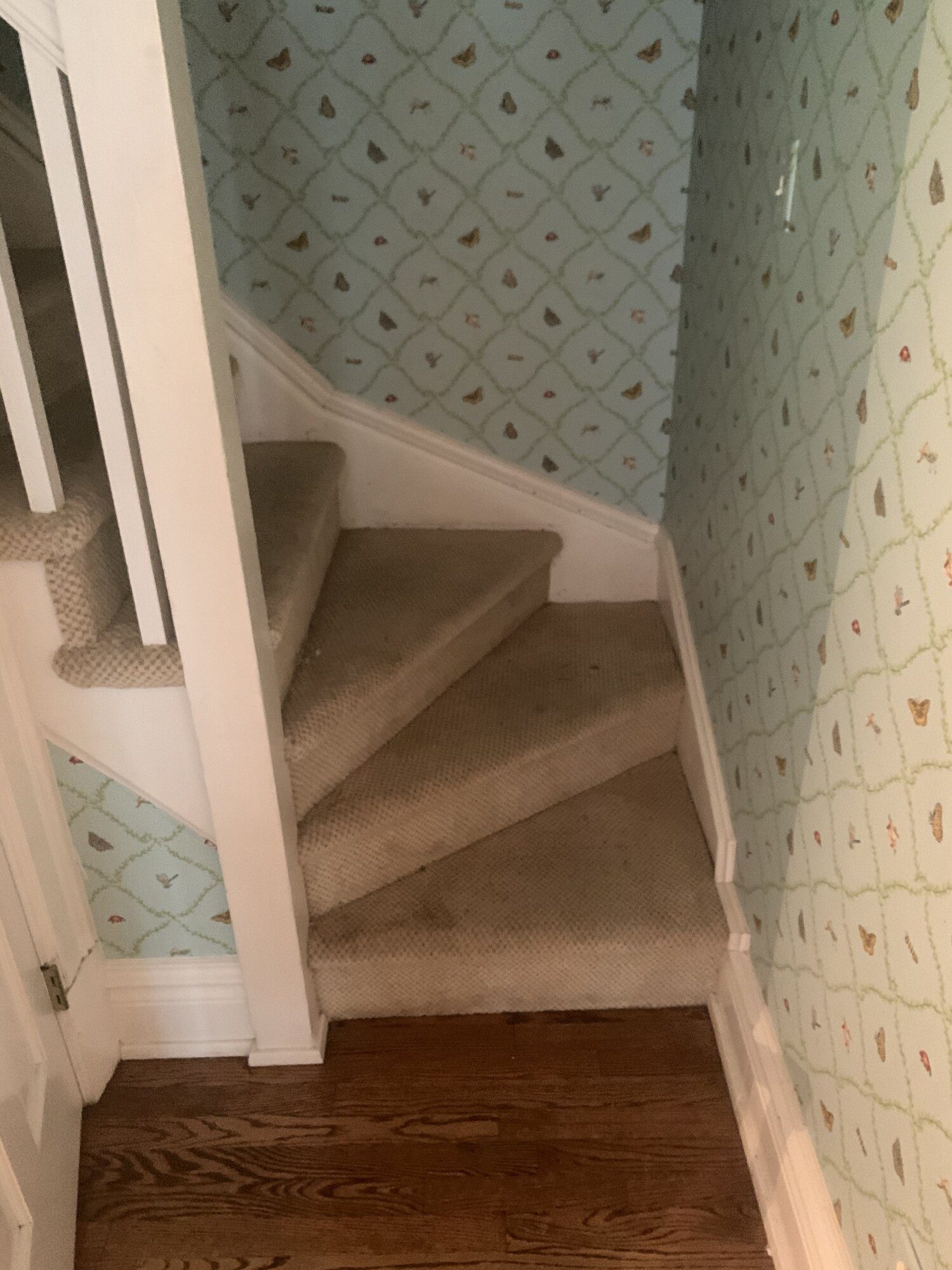 Before photo of staircase with beige carpet and blue pattern wallpaper