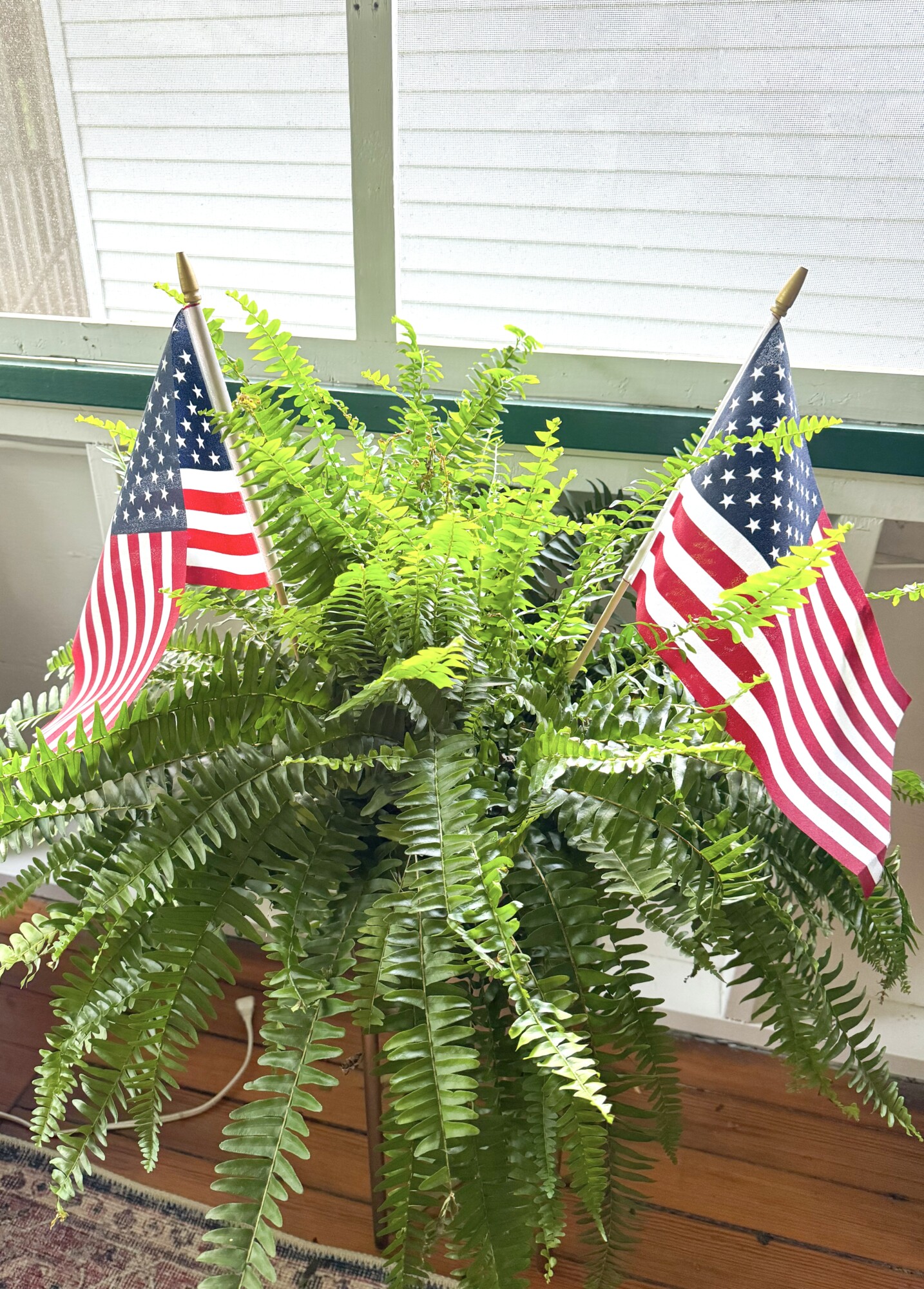 ferns and flags together