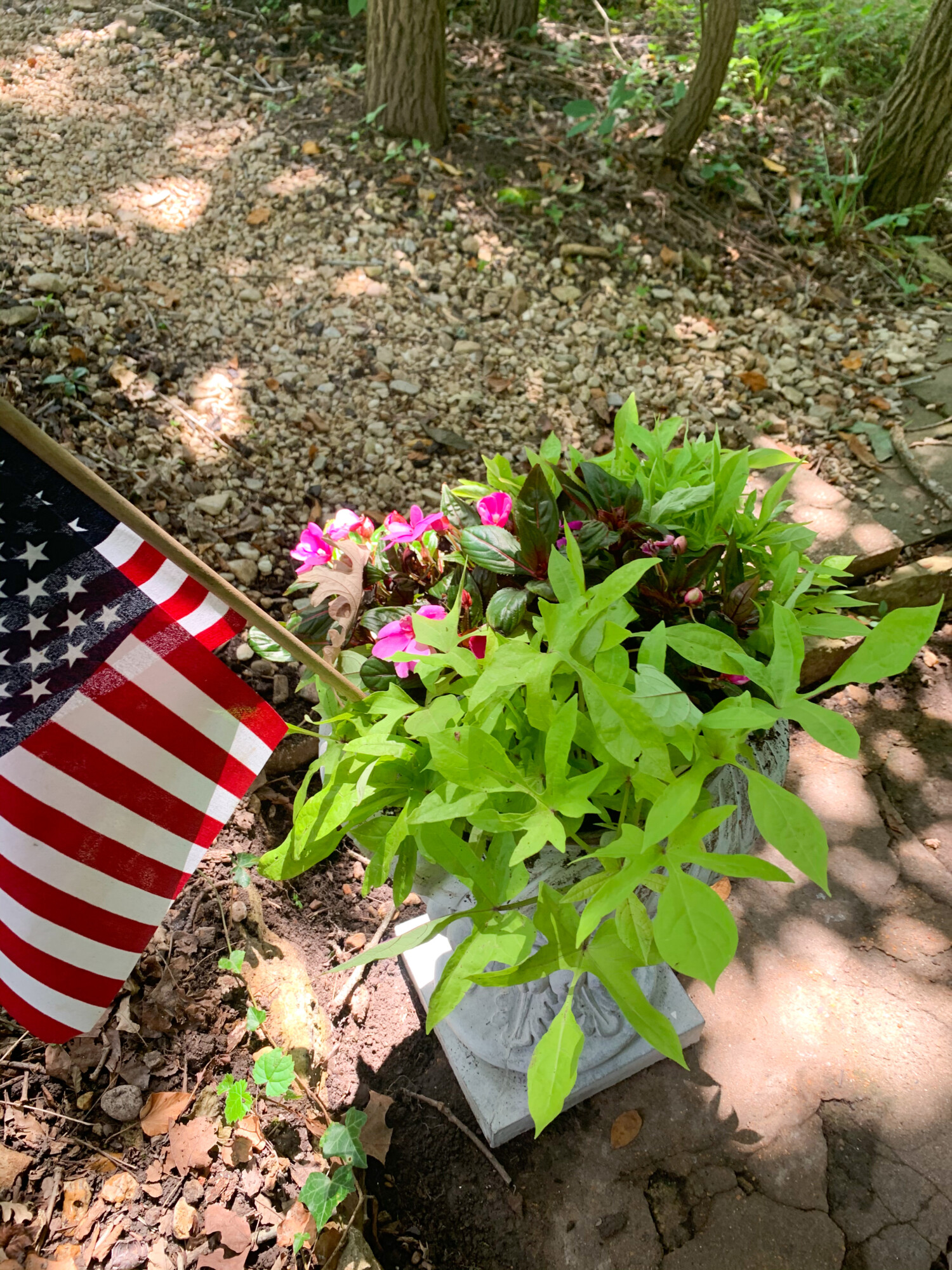 flags in an outdoor planter